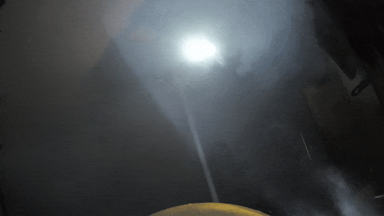 主人一离家，“黑化”红薯连同它们把家烧