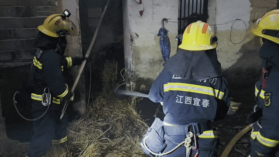 主人一离家，“黑化”红薯连同它们把家烧