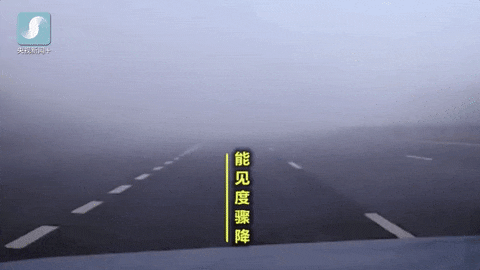 秋冬季节“团雾”多发 高速公路安全行车技巧速来查收！