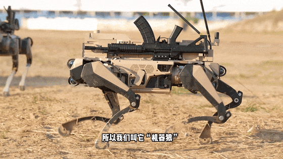 不骗你!“狼”来了! 不骗你!“狼”来了!