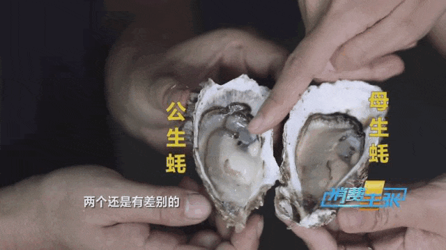 整晚睡不着?皮肤不够好?炫它!锌含量是瘦猪肉的30倍! 整晚睡不着?皮肤不够好?炫它!锌含量是瘦猪肉的30倍!