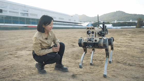 不骗你!“狼”来了! 不骗你!“狼”来了!