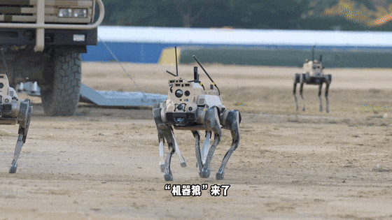 自主研制，首次公开亮相！“机器狼”真的来了