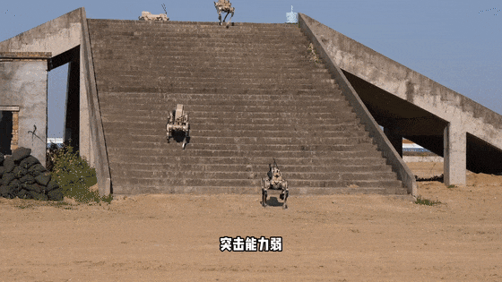 自主研制，首次公开亮相！“机器狼”真的来了