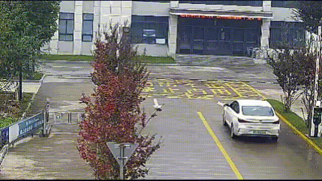 海宁滴滴司机接到神秘包裹，直接送派出所...