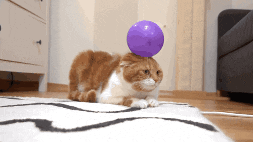 秋冬季，小心这个“不起眼”的隐患