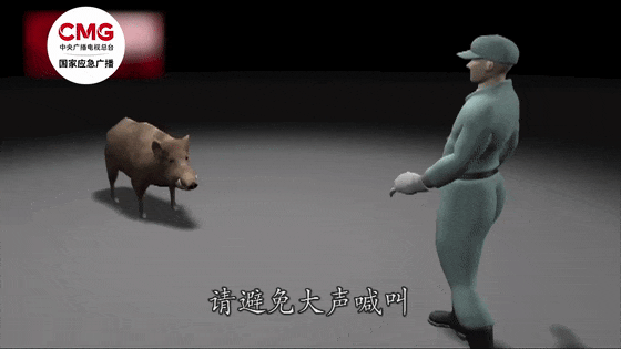 陕西一野猪闯入村民家中撕咬老人，医院：老人当场死亡