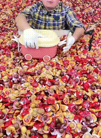 “工厂直播”可能纯属虚构！你上过当吗？