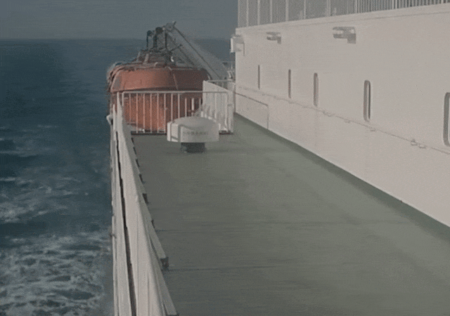 现实版“消失的她”！为骗巨额保金，男子推妻坠海！法院判了