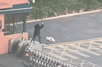 大学保安打死流浪狗,最新通报:已解聘 大学保安打死流浪狗,最新通报:已解聘