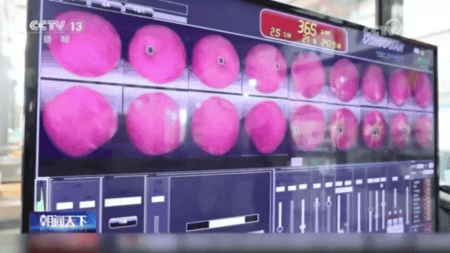 世界第一！中国苹果竟有专属“证件照”来这里瞧一瞧→