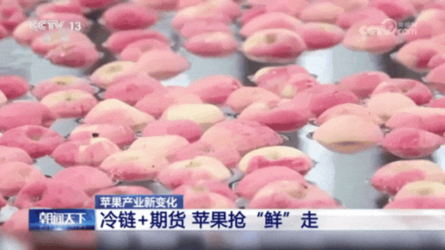 世界第一！中国苹果竟有专属“证件照”来这里瞧一瞧→