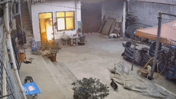 炸了！连续点火19次，明火瞬间喷出崩飞门窗