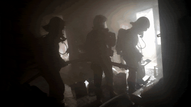 给“喵主子”送温暖，结果变成“烤猫”事件！