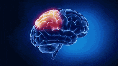 总是哈欠连天,可能与这几种病有关…… 总是哈欠连天,可能与这几种病有关……