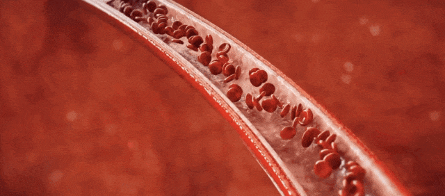 总是哈欠连天,可能与这几种病有关…… 总是哈欠连天,可能与这几种病有关……