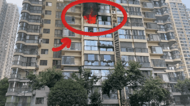 请警惕！主人未归，它在家“放烟花”把家烧