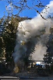 火苗窜起3米多高！昆明一单车棚里电动车起火，引燃竹林……