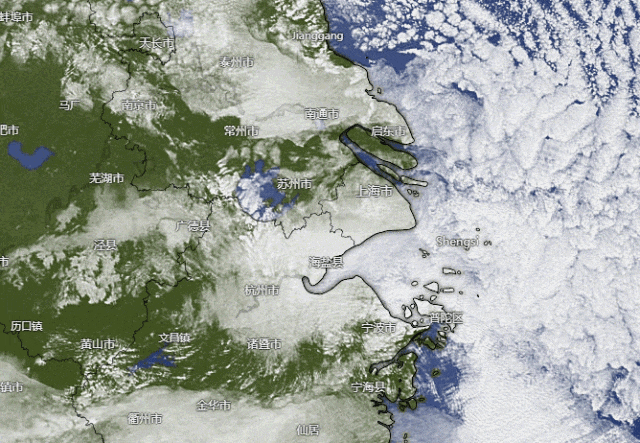 确认了!明天开始影响上海!这几区特别注意→ 确认了!明天开始影响上海!这几区特别注意→