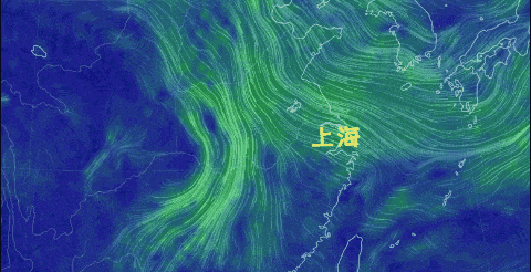 上海多区发布预警:最低温骤降8℃以上!寒潮“冻”真格,今冬到底是暖还是冷 上海多区发布预警:最低温骤降8℃以上!寒潮“冻”真格,今冬到底是暖还是冷