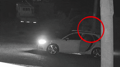 4名“光头强”,被莆田警方抓获 4名“光头强”,被莆田警方抓获