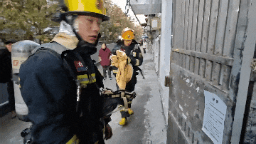 @爱狗人士：家中起火一片狼藉！9只“汪星人”何去何从？