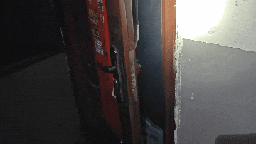 @爱狗人士：家中起火一片狼藉！9只“汪星人”何去何从？