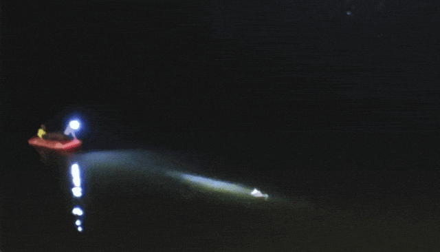 10多天连救4人!王炫棋,好样的! 10多天连救4人!王炫棋,好样的!