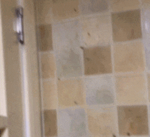 恶心坏了!“厨余炸弹”掉进家,残羹剩水炸开花,业主:不是第一次了 恶心坏了!“厨余炸弹”掉进家,残羹剩水炸开花,业主:不是第一次了