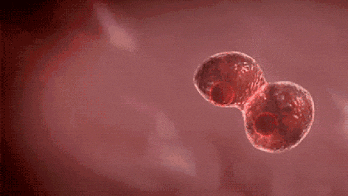 镇痛抗炎、舒缓情绪……适当“挨冻”有很多好处 镇痛抗炎、舒缓情绪……适当“挨冻”有很多好处