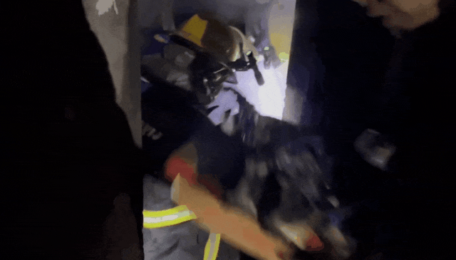 火炕失控烧家,消防员二进火场救下大爷价值8000的“履珍” 火炕失控烧家,消防员二进火场救下大爷价值8000的“履珍”