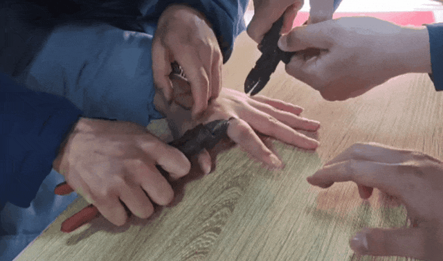 横店女子找寻专属“魔戒”，却4天3进消防站求解脱