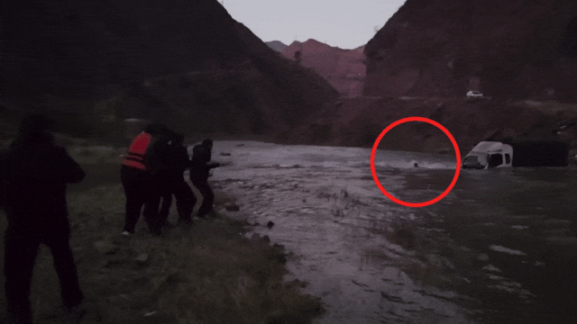 1条绳,1群人,救了2条命! 1条绳,1群人,救了2条命!