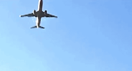 资深机长解析事故原因!韩国客机失事后的24小时,发生了什么? 资深机长解析事故原因!韩国客机失事后的24小时,发生了什么?