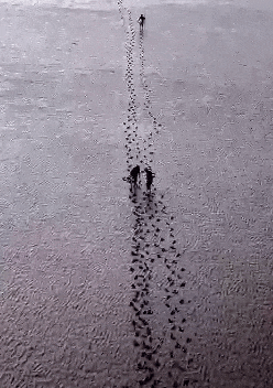 钱塘江边突发！男子被发现时已失温，不停念叨着三个字......