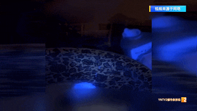 网传洗衣液有荧光剂，是科技狠活吗？