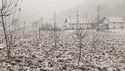 刚刚，湖北下雪了！最冷的天气要来了