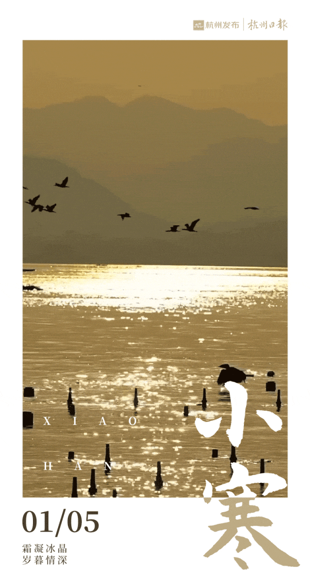 跌破0℃！杭州大反转！但有个好消息：不少人提前出动了......