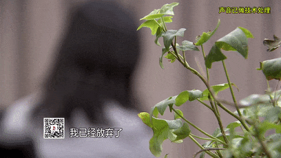 藏匿26年后,凶手终于落网…… 藏匿26年后,凶手终于落网……