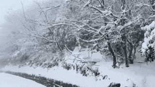 哇哦!重庆中心城区也加入“初雪圈”啦! 哇哦!重庆中心城区也加入“初雪圈”啦!