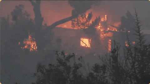 “像世界末日”！美国洛杉矶山火亲历者回忆惊魂时刻→