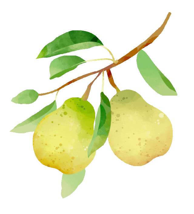 盘点那些被读错的植物 | 薜荔VS芫荽：名字很“高级”，样子很普通！