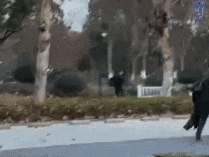 杭州小伙刚领完证,回家路上……新娘:嫁对人了🥰 杭州小伙刚领完证,回家路上……新娘:嫁对人了🥰