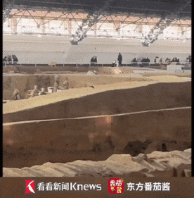 兵马俑坑惊现跑酷小松鼠！网友：买票了吗？官方回应