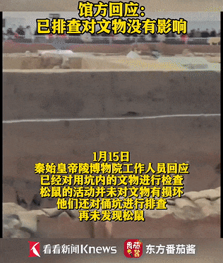 兵马俑坑惊现跑酷小松鼠！网友：买票了吗？官方回应