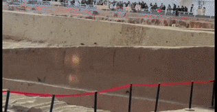 兵马俑坑惊现跑酷小松鼠！网友：买票了吗？官方回应