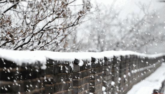 降雪+降温+大风！河北春节假期天气预报→