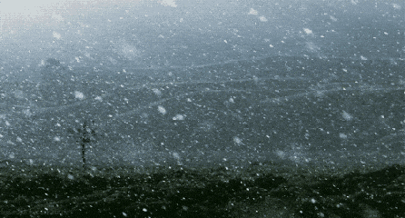 降雪+降温+大风！河北春节假期天气预报→