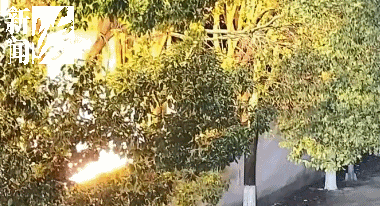 近期又冒头！很多上海人跟风，一不小心就违法…紧急提醒：已有人被抓