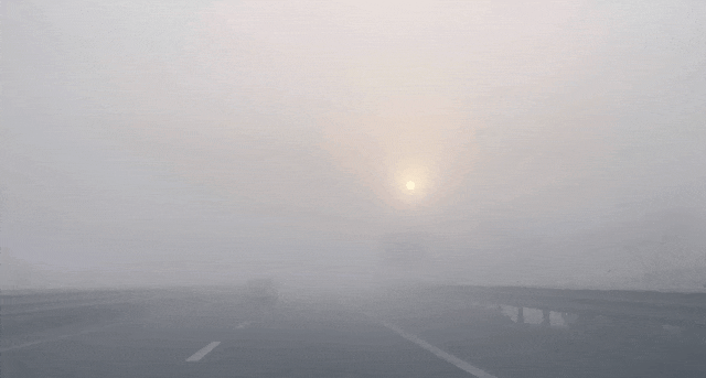 大雾来袭！停航预警、高速行车安全指南→